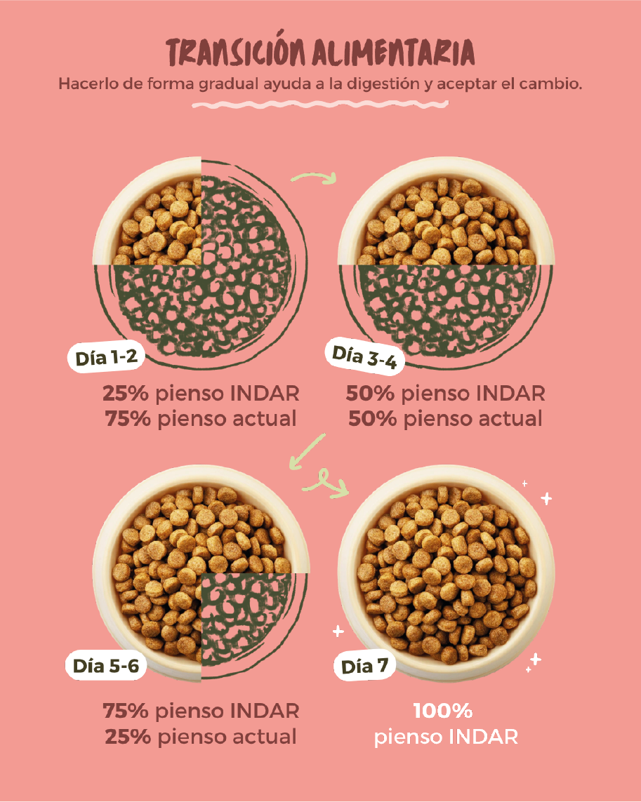KATU ESTERILIZE - Gato esterilizado - INDAR alimento completo súper premium