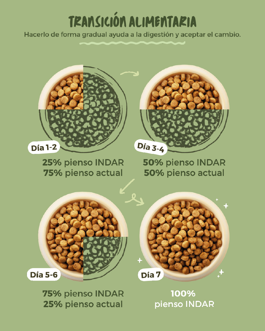 KATU BASATI - Gato adulto, SIN cereales - INDAR alimento completo súper premium