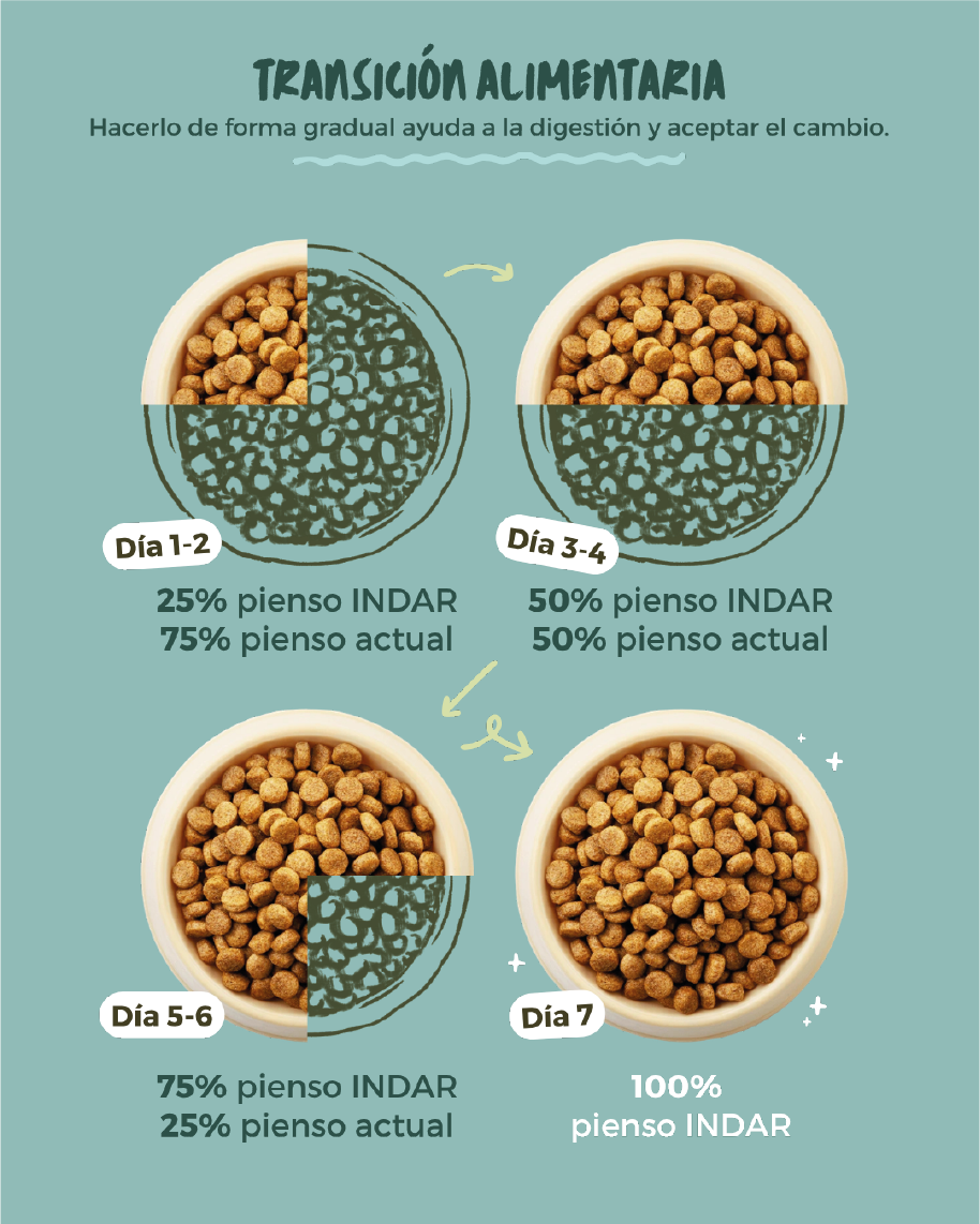 KATUTXO BASATI - Gatito cachorro, SIN cereales - INDAR alimento completo súper premium