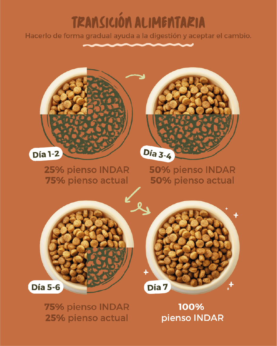 DIGESTIO - Perro, todas las razas, digestivo - INDAR alimento completo súper premium