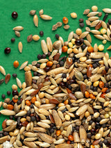 ALIMENTO COMPLETO PARA CANARIOS