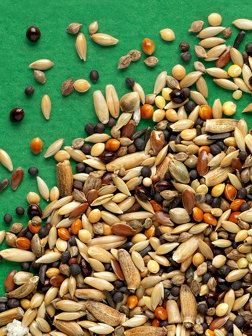 ALIMENTO DIARIO AVES SILVESTRES