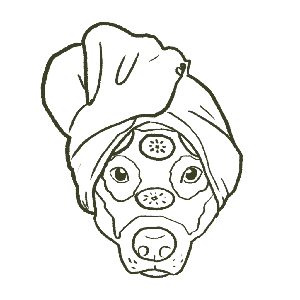 Peluquería canina y spa