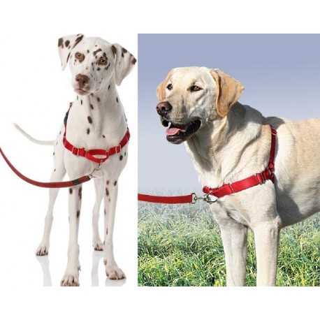 Arnés para perros antitirones Arnés para perros fácil de colocar Arnés  reflectante ajustable con arn JAMW Sencillez